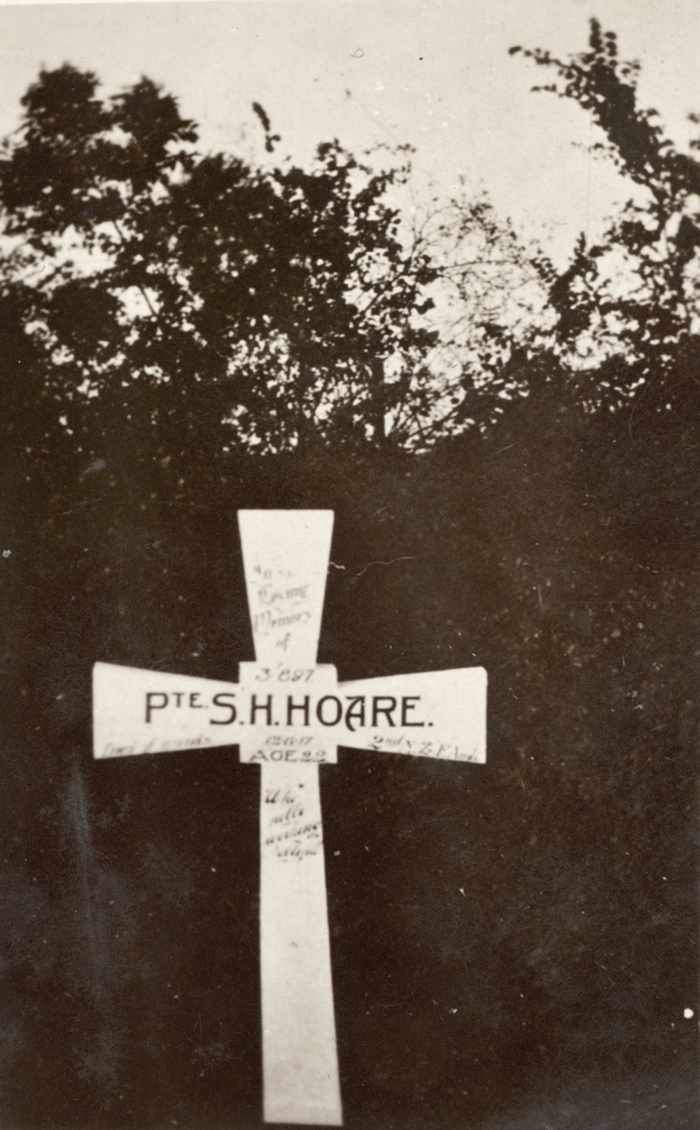 Photo from page 62 of album WWI Photograph Album- Egypt, Gallipoli and Western Front