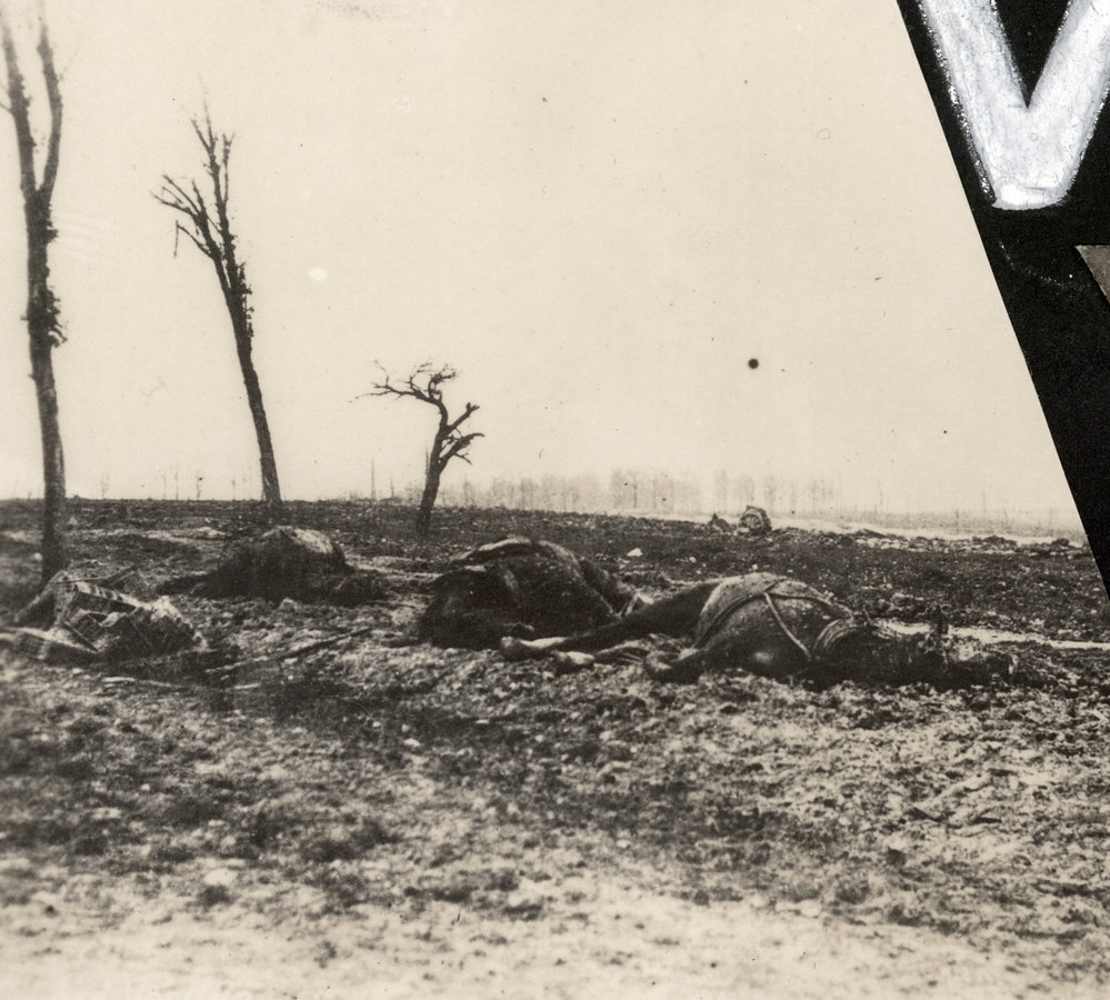 Photo from page 63 of album WWI Photograph Album- Egypt, Gallipoli and Western Front