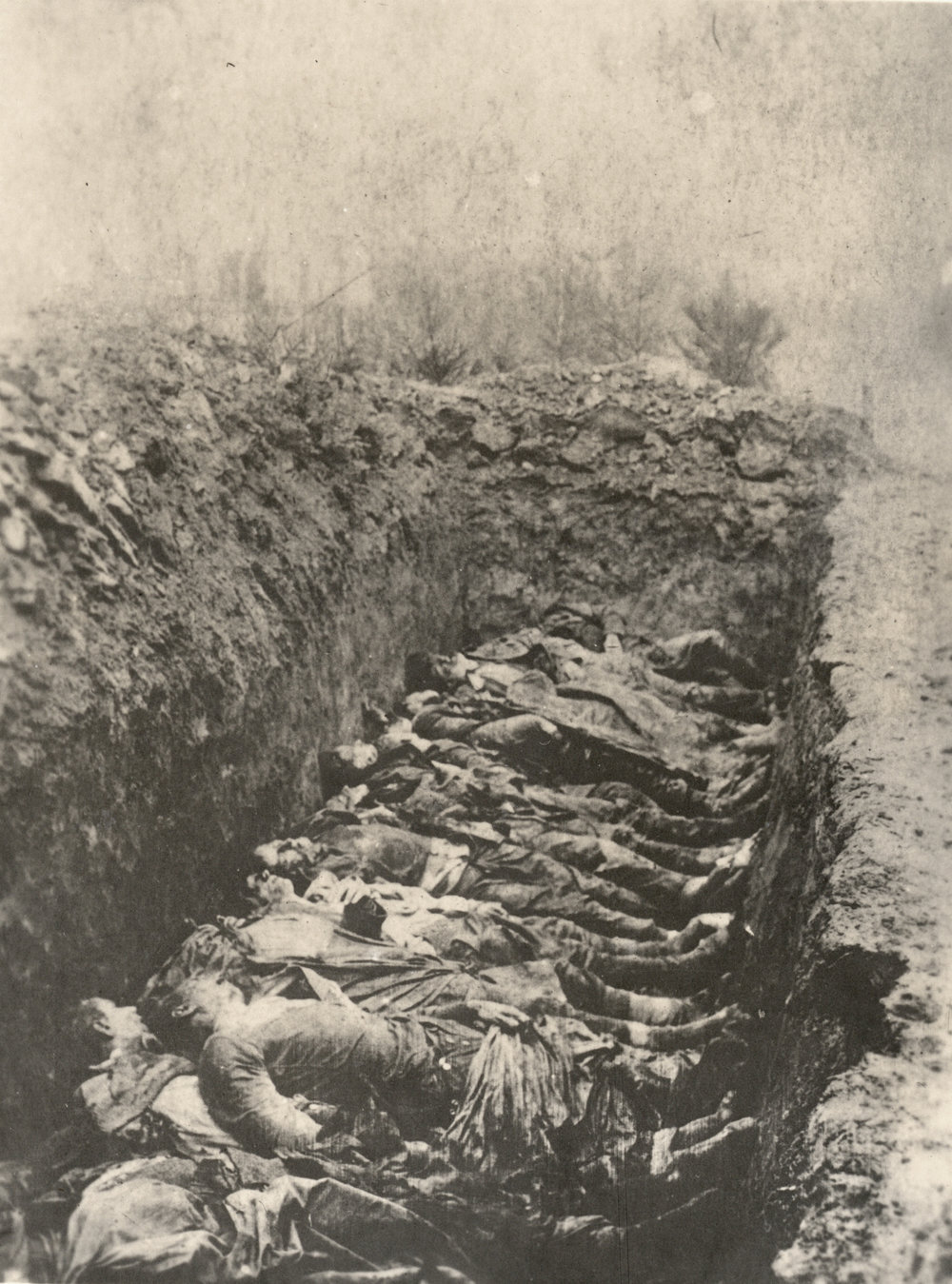 Photo from page 64 of album WWI Photograph Album- Egypt, Gallipoli and Western Front