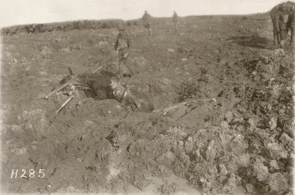 Photo from page 67 of album WWI Photograph Album- Egypt, Gallipoli and Western Front