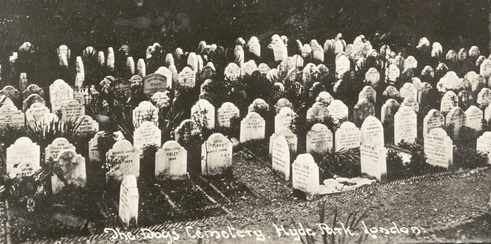 Photo from page 75 of album WWI Photograph Album- Egypt, Gallipoli and Western Front