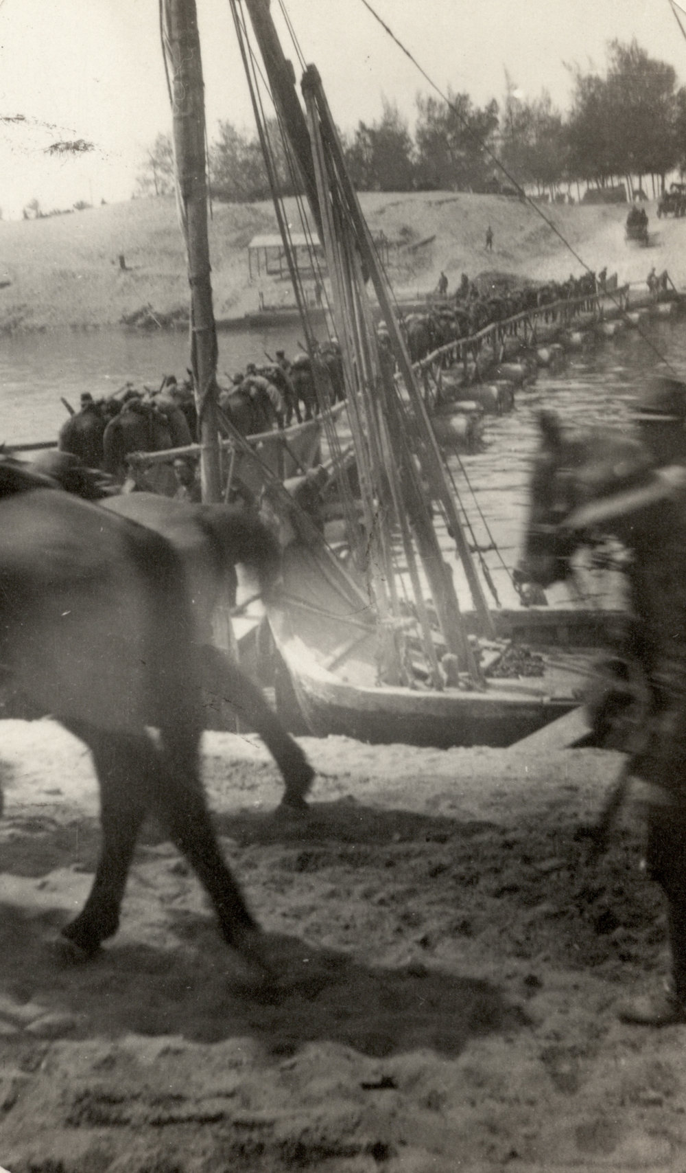 Photo from page 06 of album WWI Photograph Albums- Egypt and Gallipoli.