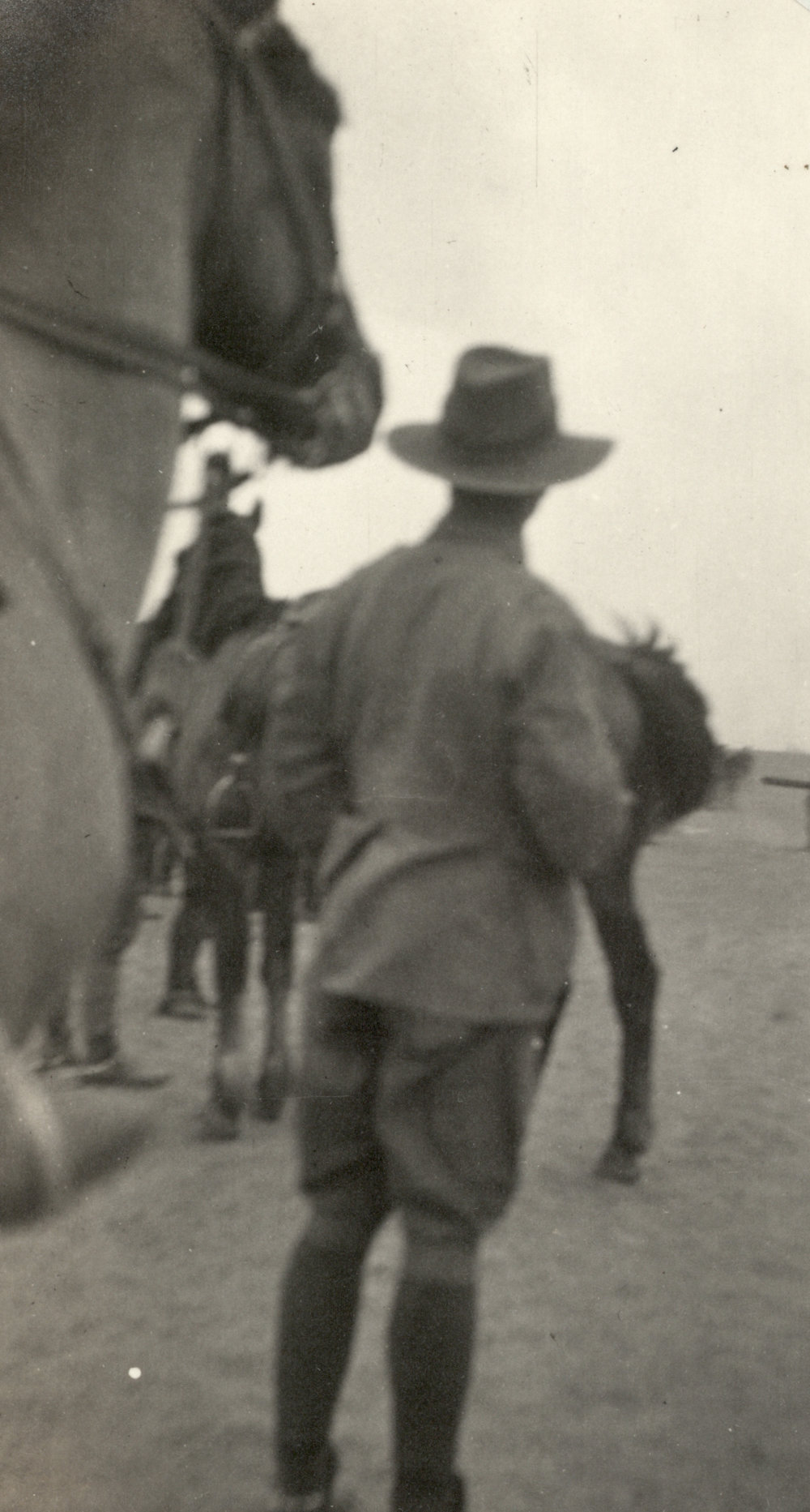 Photo from page 12 of album WWI Photograph Albums- Egypt and Gallipoli.