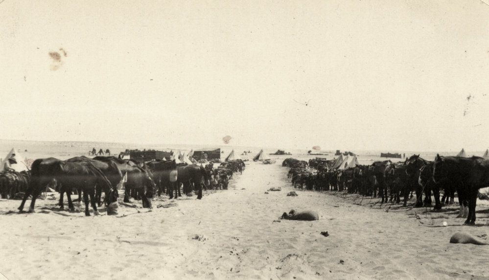 Photo from page 14 of album WWI Photograph Albums- Egypt and Gallipoli.