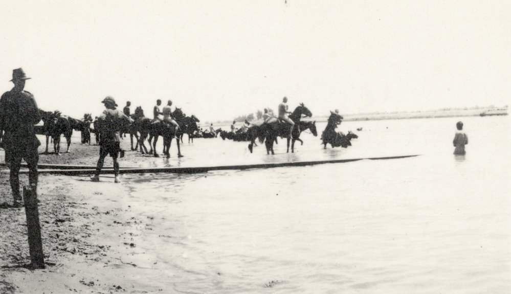 Photo from page 19 of album WWI Photograph Albums- Egypt and Gallipoli.