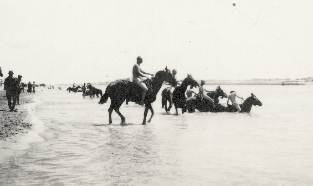 Photo from page 19 of album WWI Photograph Albums- Egypt and Gallipoli.
