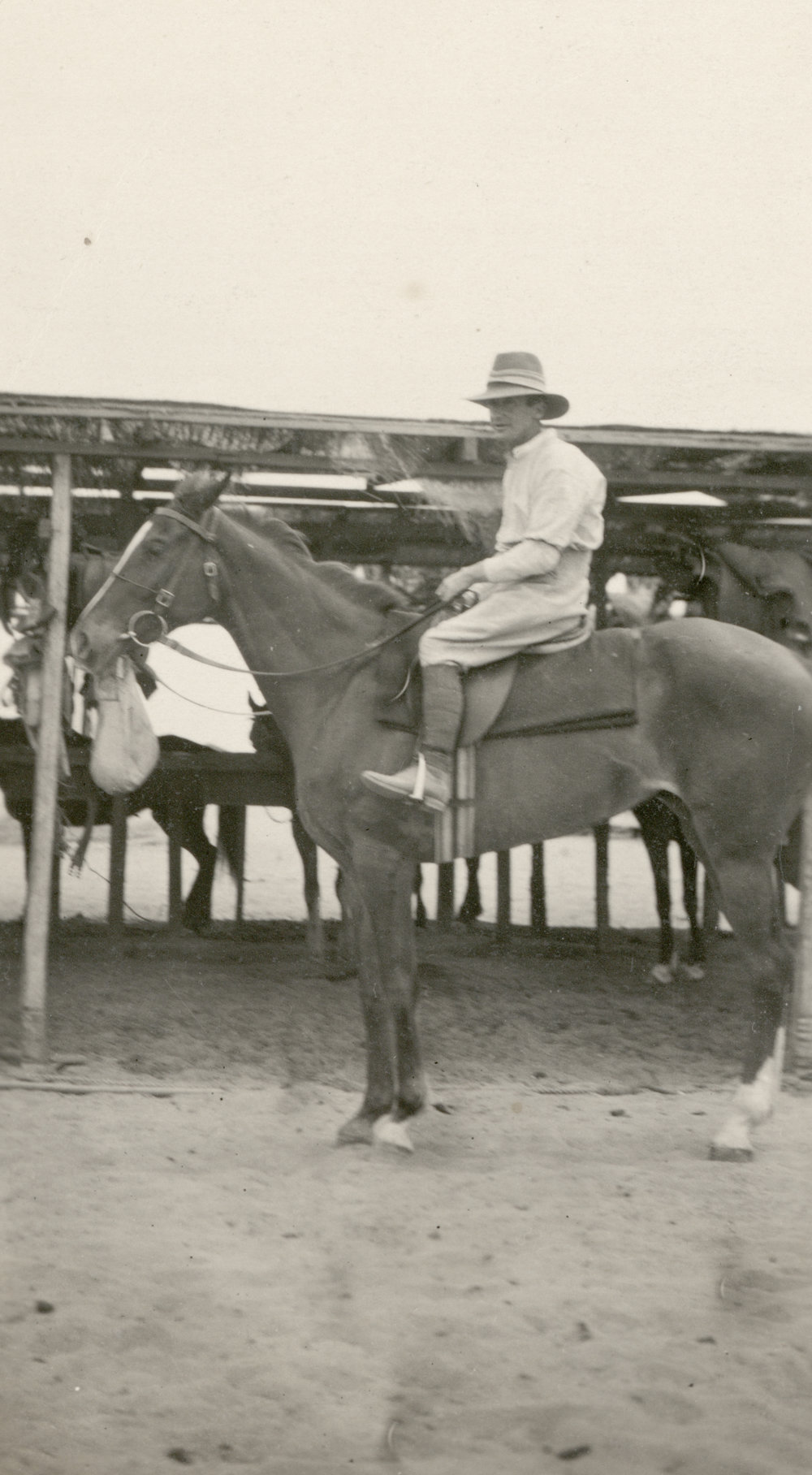 Photo from page 33 of album WWI Photograph Albums- Egypt and Gallipoli.