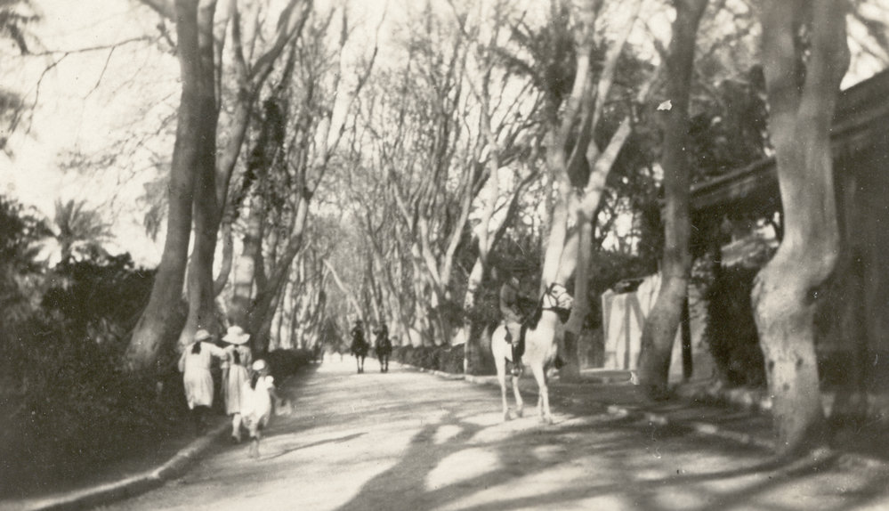 Photo from page 35 of album WWI Photograph Albums- Egypt and Gallipoli.