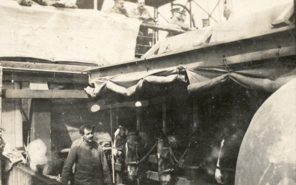 Photo from page 05 of album WWI Photograph Albums - Egypt &amp; Gallipoli.