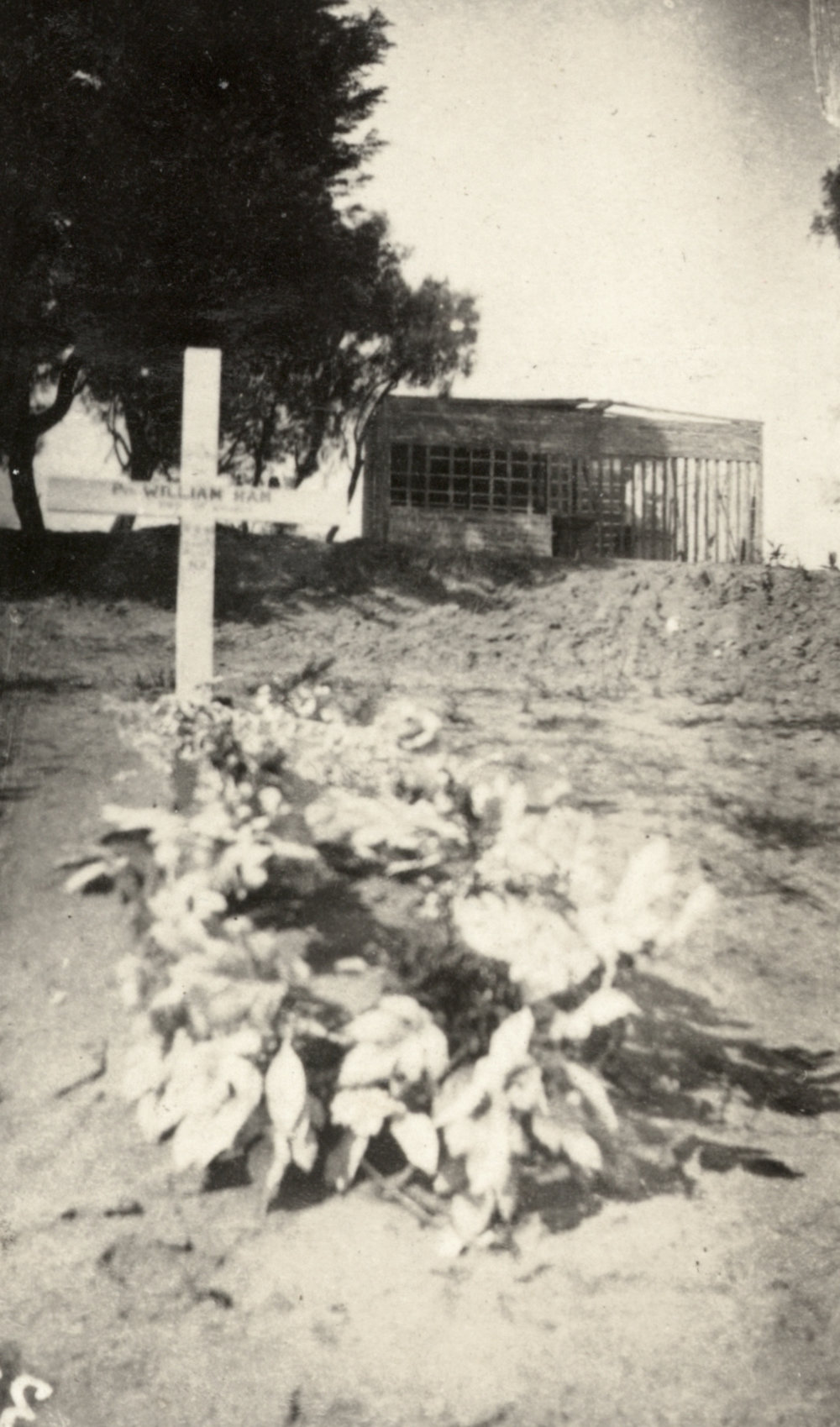 Photo from page 08 of album WWI Photograph Albums - Egypt &amp; Gallipoli.