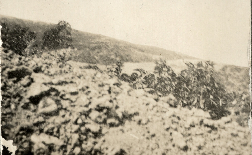 Photo from page 12 of album WWI Photograph Albums - Egypt &amp; Gallipoli.