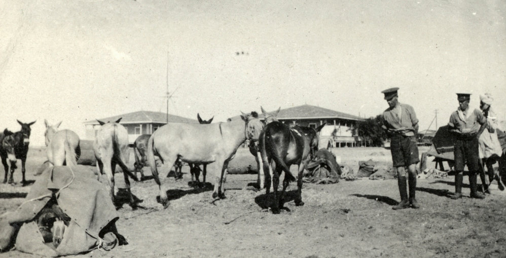 Photo from page 04 of album WWI Photograph Albums - Egypt and Gallipoli.