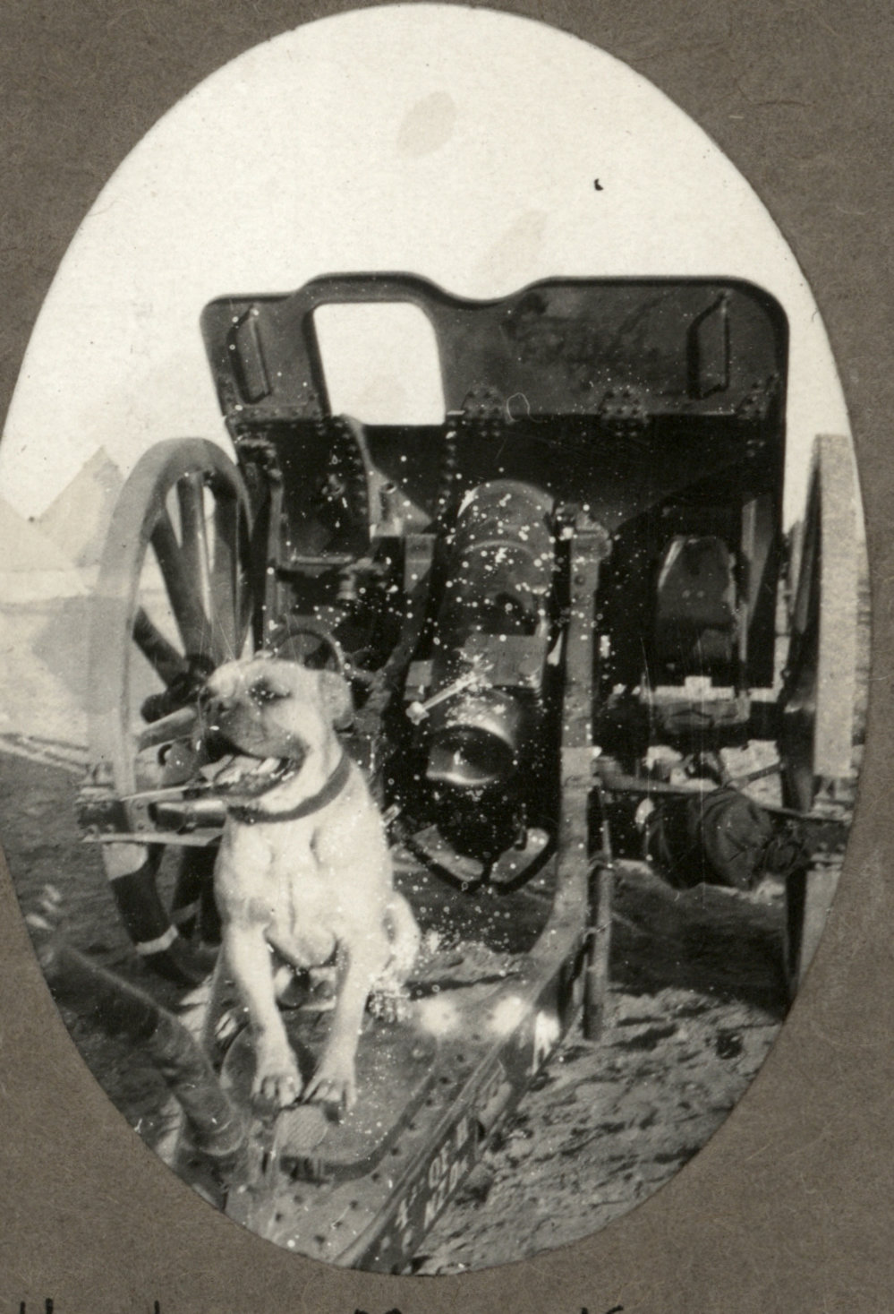 Photo from page 10 of album WWI Photograph Albums - Egypt and Gallipoli.