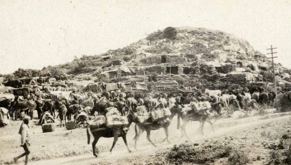 Photo from page 11 of album WWI Photograph Albums - Egypt and Gallipoli.