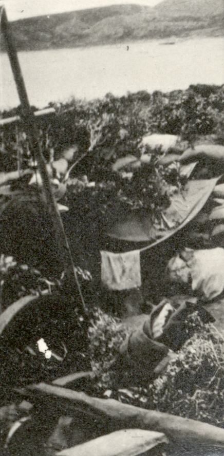 Photo from page 11 of album WWI Photograph Albums - Egypt and Gallipoli.