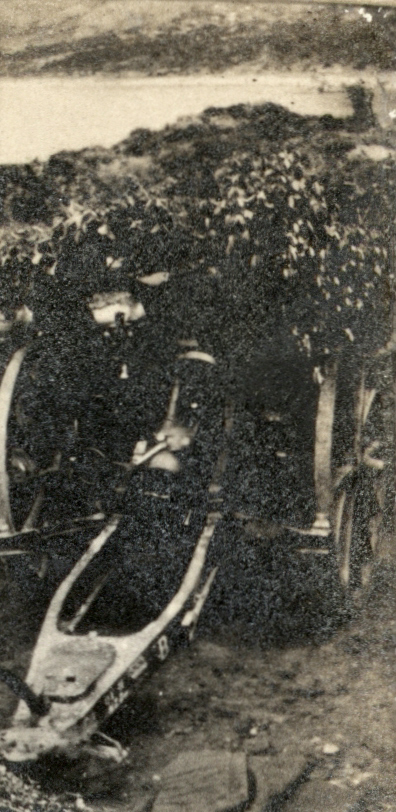 Photo from page 11 of album WWI Photograph Albums - Egypt and Gallipoli.