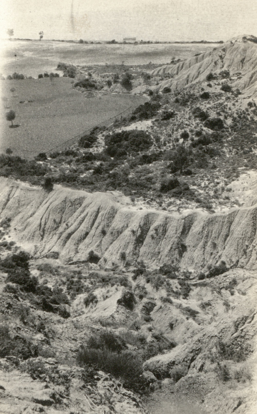 Photo from page 06 of album WW1 Photograph Album- Gallipoli.