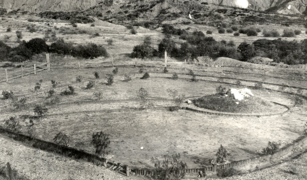 Photo from page 08 of album WWI Photograph Album- Egypt, Gallipoli &amp; Sinai and Palestine.