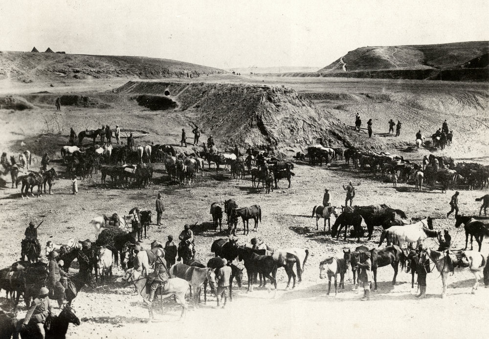 Photo from page 10 of album WWI Photograph Album- Egypt, Gallipoli &amp; Sinai and Palestine.