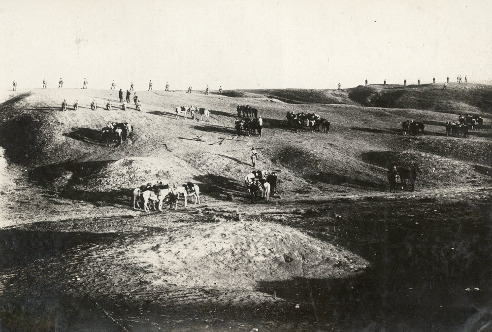 Photo from page 10 of album WWI Photograph Album- Egypt, Gallipoli &amp; Sinai and Palestine.