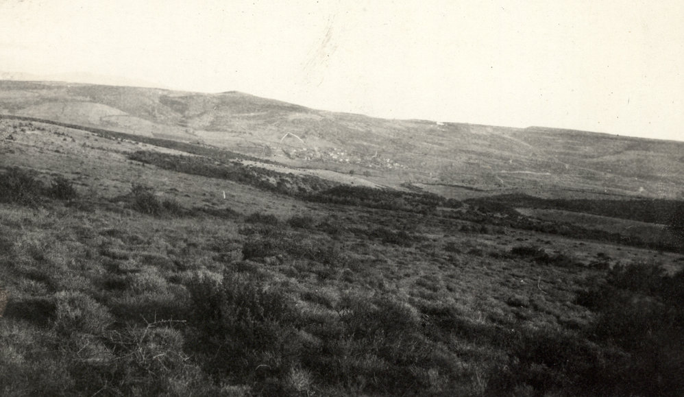 Photo from page 11 of album WWI Photograph Album- Egypt, Gallipoli &amp; Sinai and Palestine.