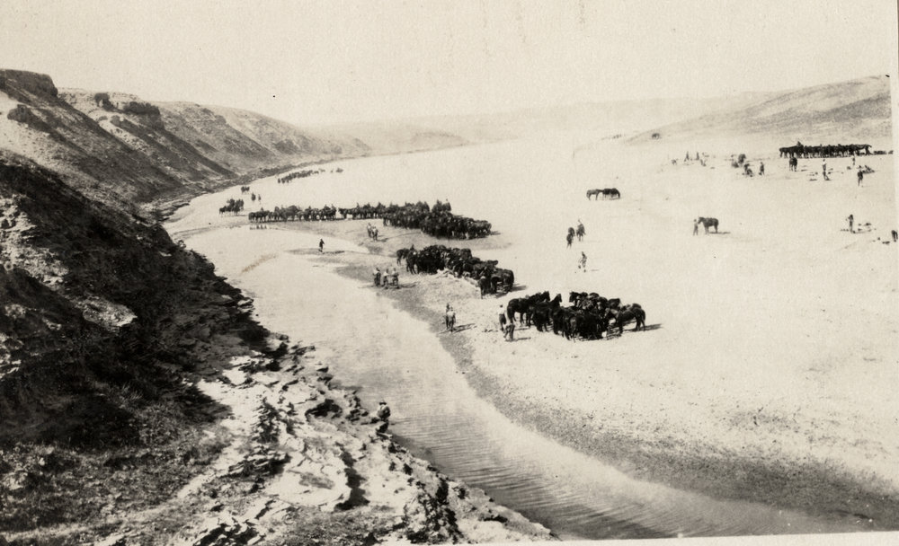 Photo from page 13 of album WWI Photograph Album- Egypt, Gallipoli &amp; Sinai and Palestine.