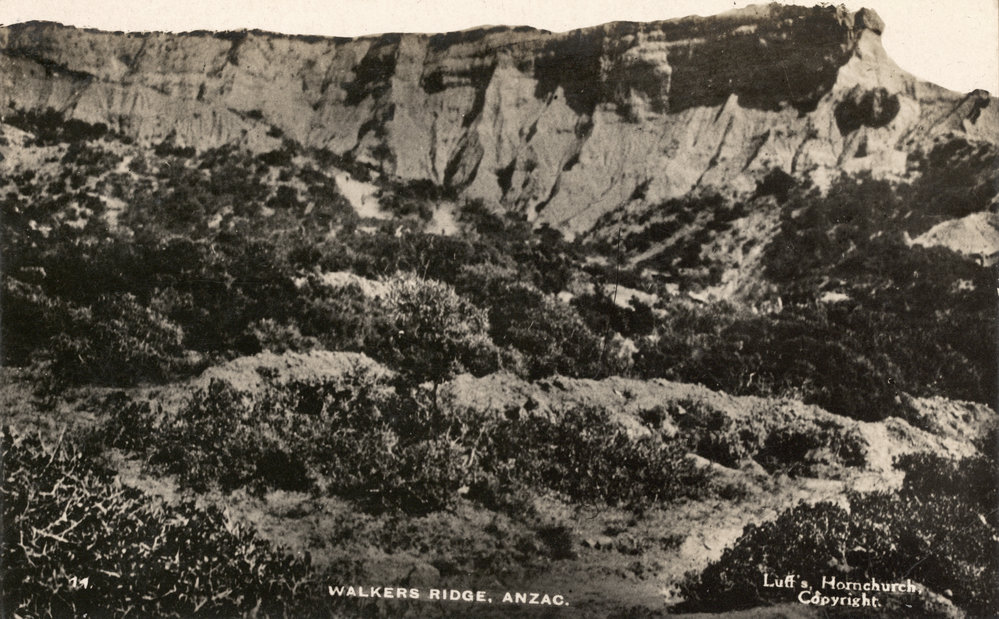 Photo from page 14 of album WWI Photograph Album- Egypt, Gallipoli &amp; Sinai and Palestine.