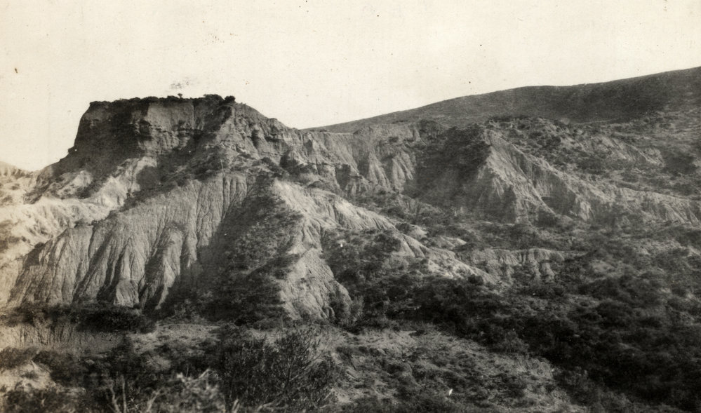 Photo from page 15 of album WWI Photograph Album- Egypt, Gallipoli &amp; Sinai and Palestine.