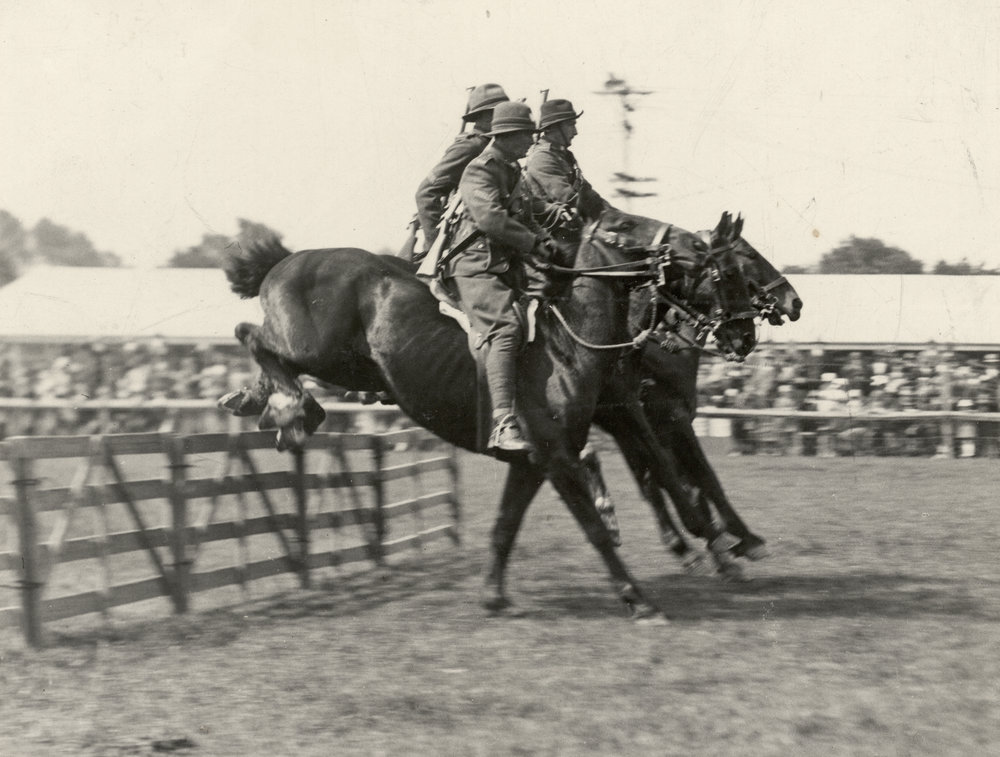 Photo from page 17 of album WWI Photograph Album- Egypt, Gallipoli &amp; Sinai and Palestine.
