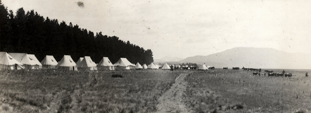 Photo from page 19 of album WWI Photograph Album- Egypt, Gallipoli &amp; Sinai and Palestine.