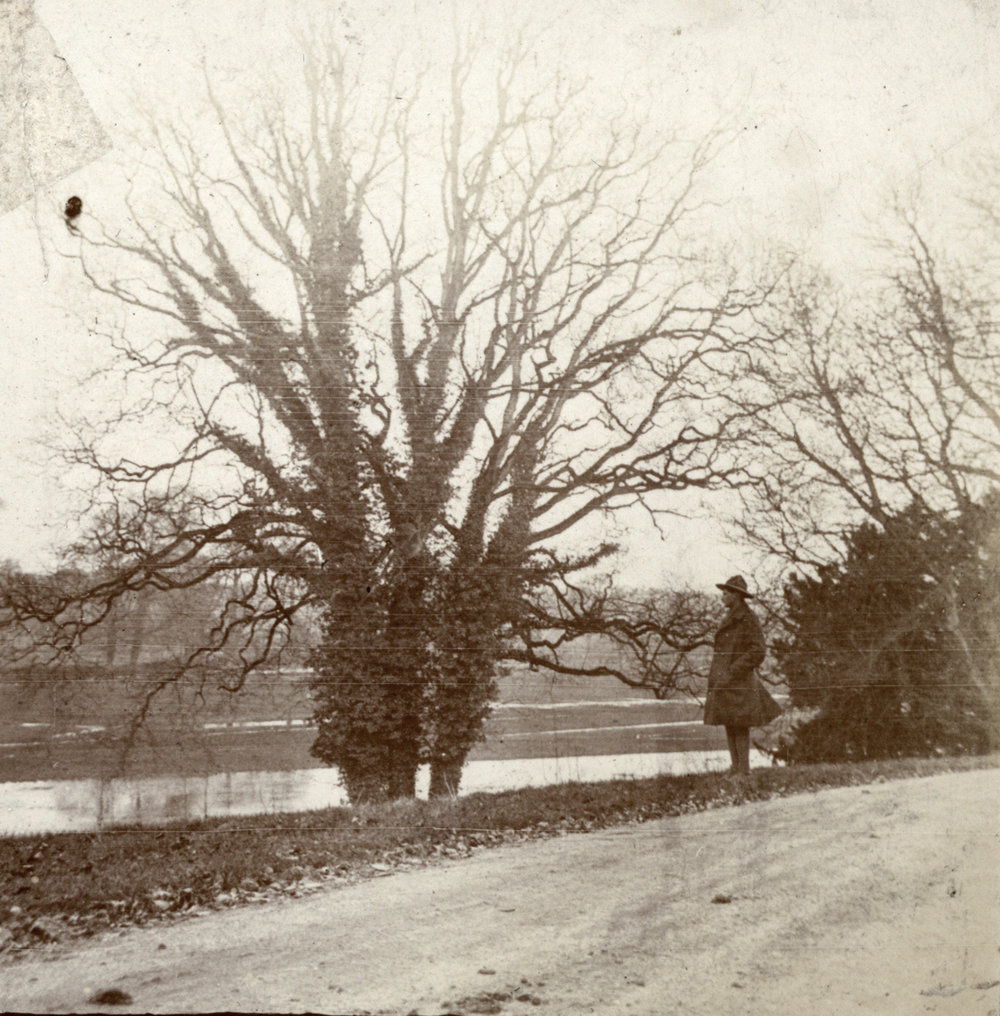 Photo from page 05 of album WWI Photograph Albums- Egypt and Western Front.