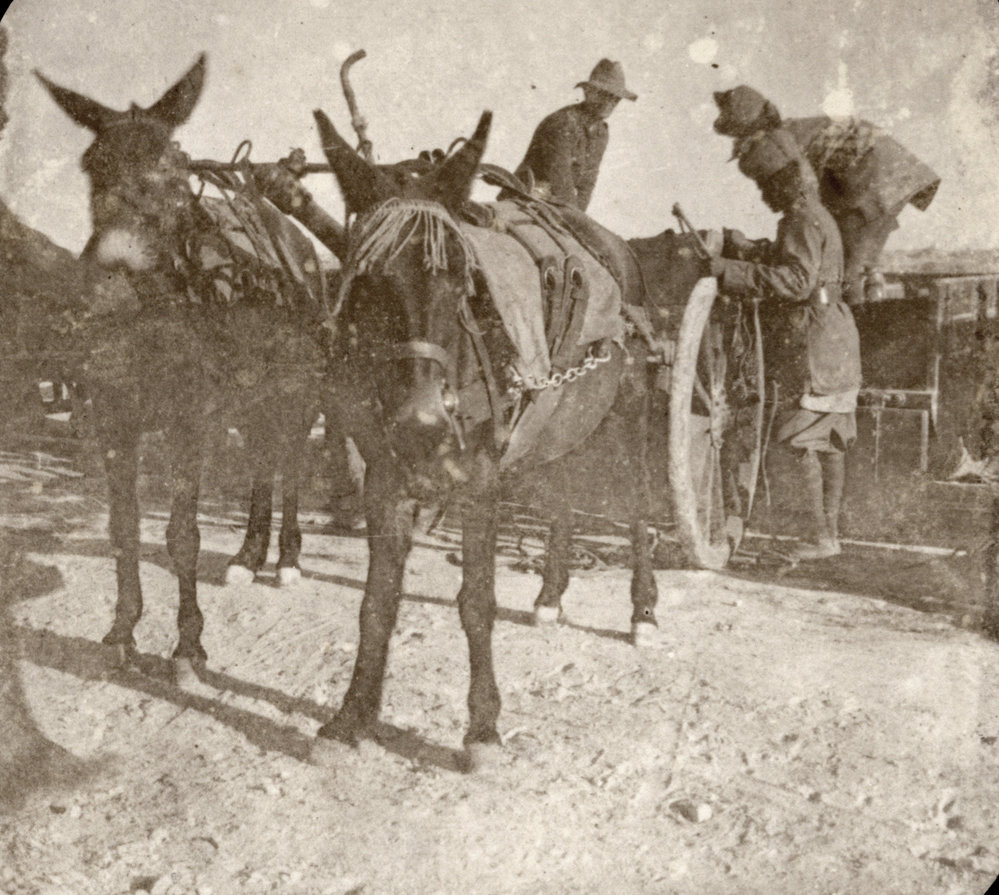 Photo from page 06 of album WWI Photograph Albums- Egypt and Western Front.
