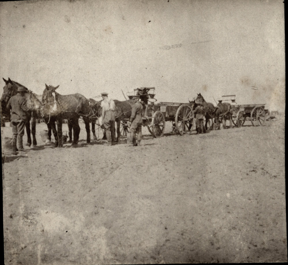Photo from page 08 of album WWI Photograph Albums- Egypt and Western Front.