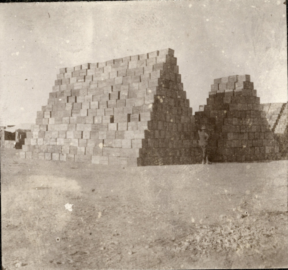 Photo from page 08 of album WWI Photograph Albums- Egypt and Western Front.