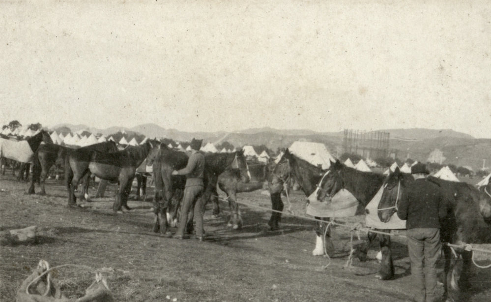 Photo from page 04 of album WWI Photograph Albums- Egypt.