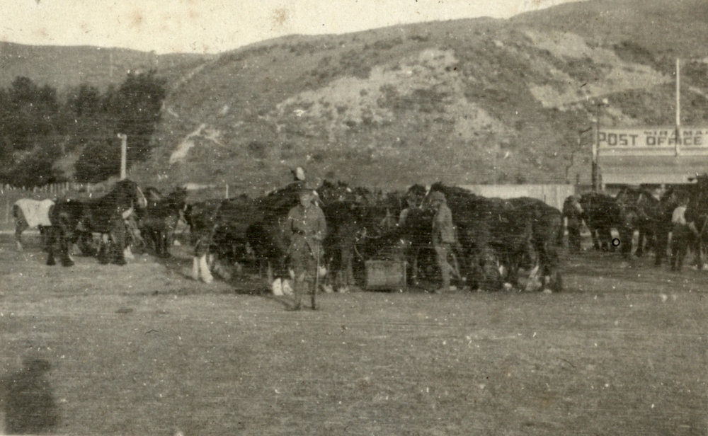 Photo from page 04 of album WWI Photograph Albums- Egypt.