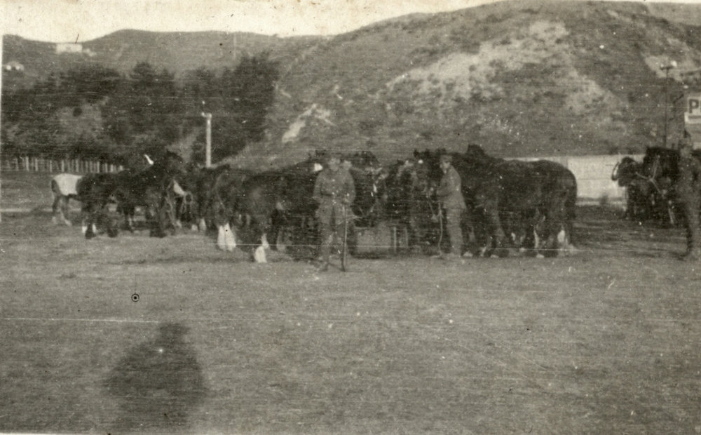 Photo from page 04 of album WWI Photograph Albums- Egypt.