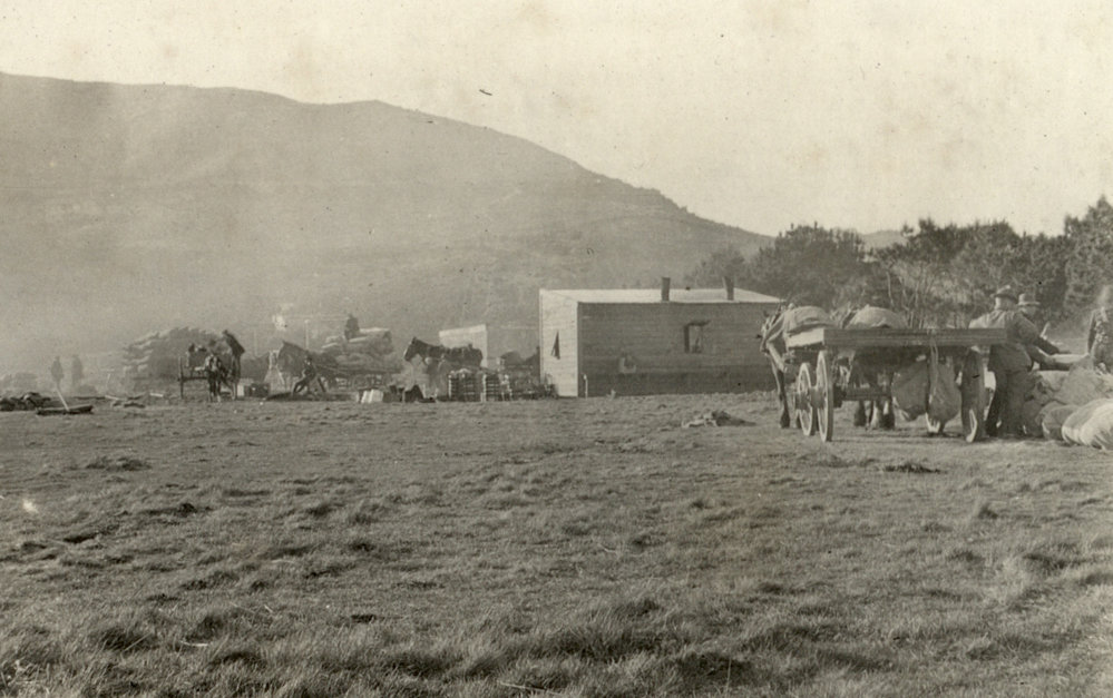Photo from page 05 of album WWI Photograph Albums- Egypt.