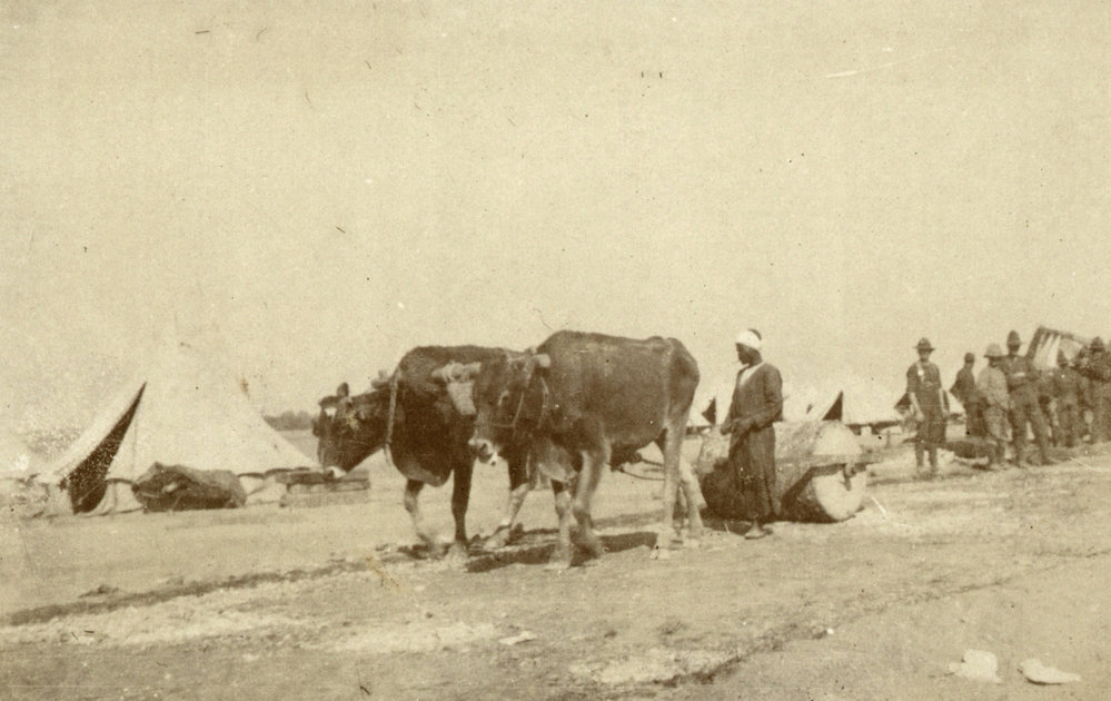 Photo from page 10 of album WWI Photograph Albums- Egypt.