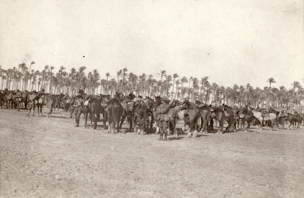 Photo from page 03 of album WWI Photograph Albums- Egypt and Palestine.