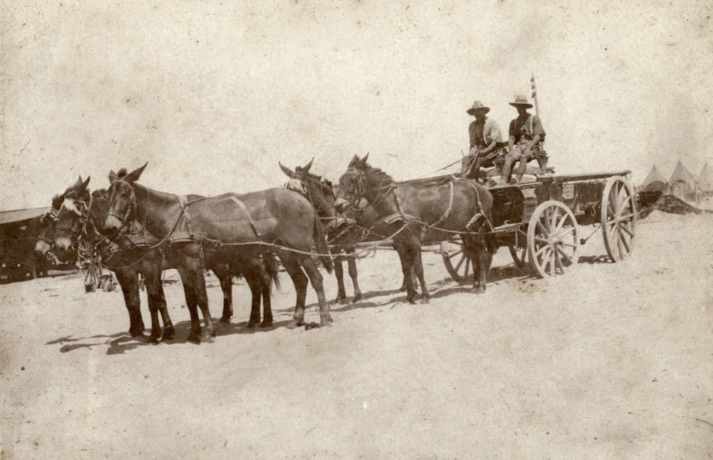 Photo from page 05 of album WWI Photograph Albums- Egypt and Palestine.