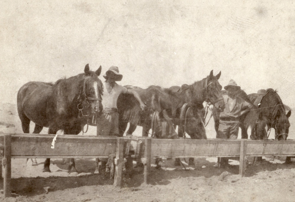 Photo from page 12 of album WWI Photograph Albums- Egypt and Palestine.