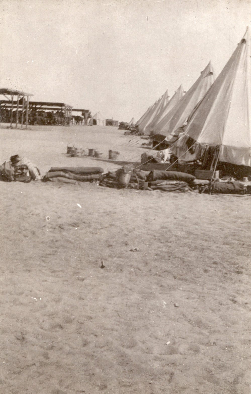 Photo from page 14 of album WWI Photograph Albums- Egypt and Palestine.