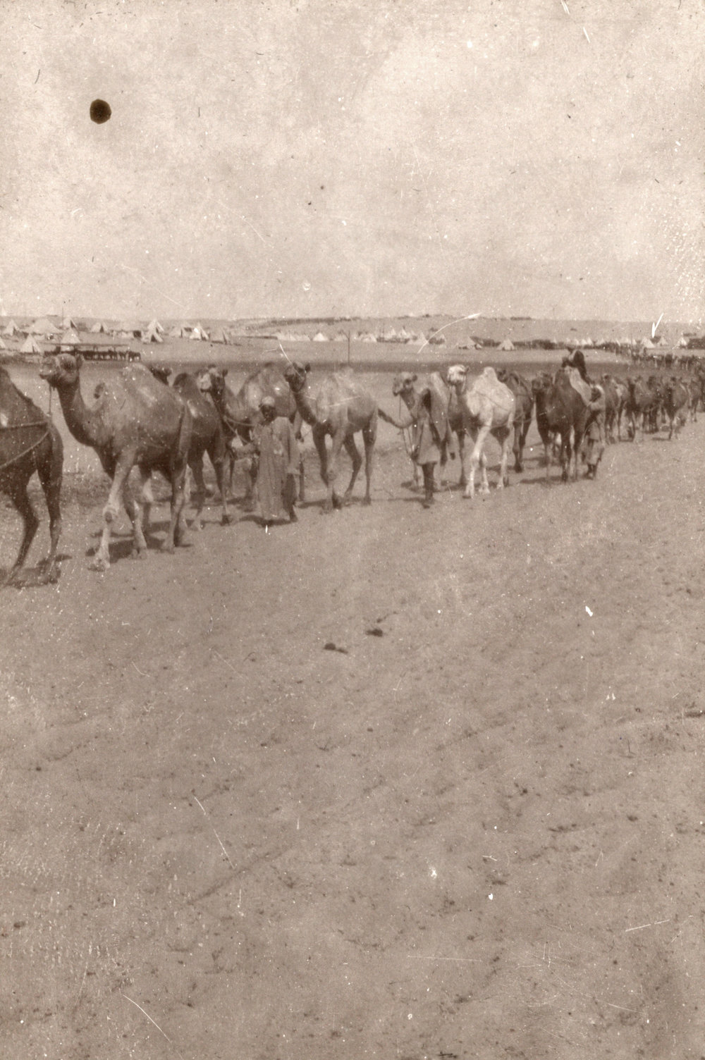 Photo from page 14 of album WWI Photograph Albums- Egypt and Palestine.