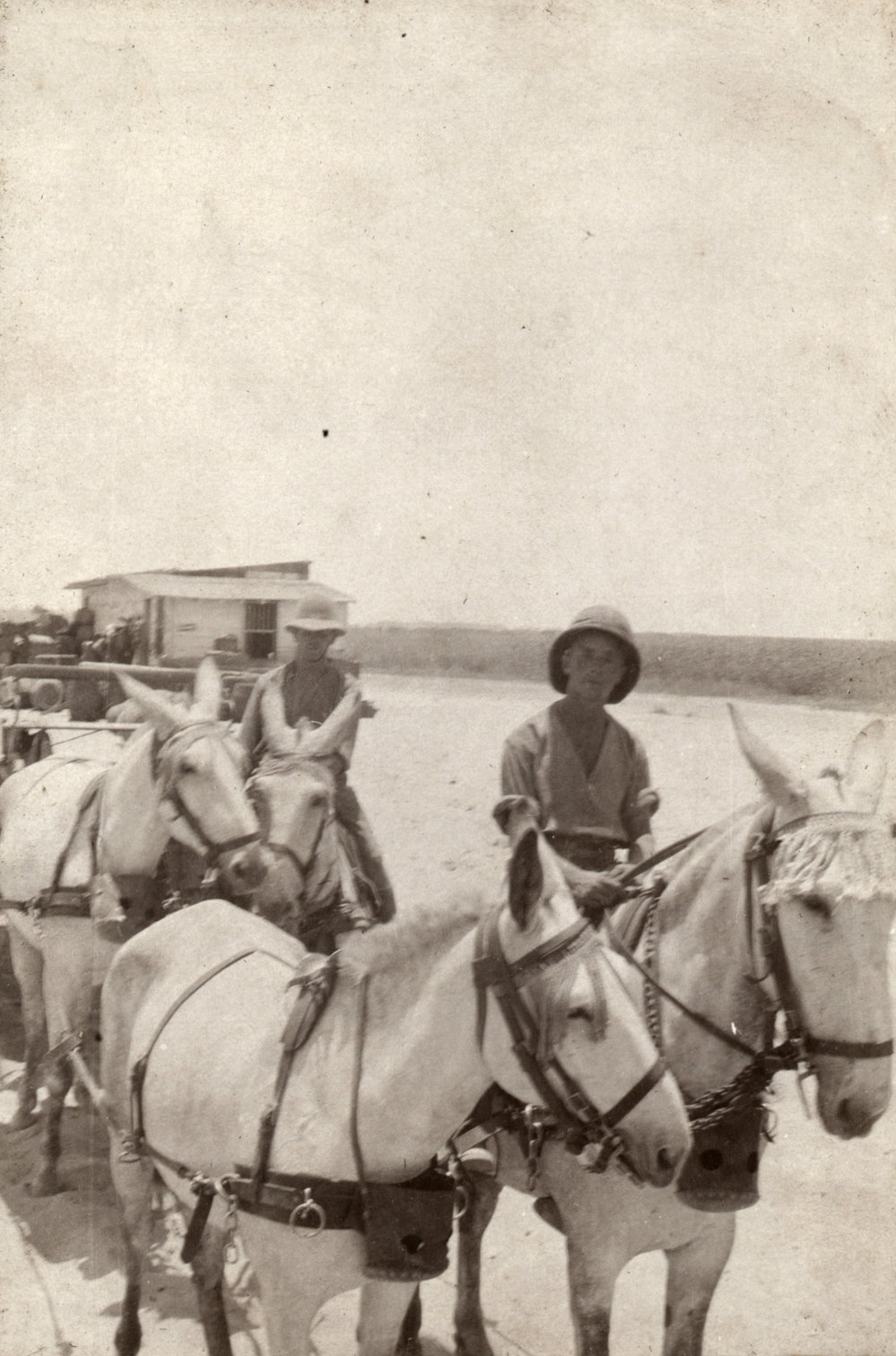 Photo from page 14 of album WWI Photograph Albums- Egypt and Palestine.