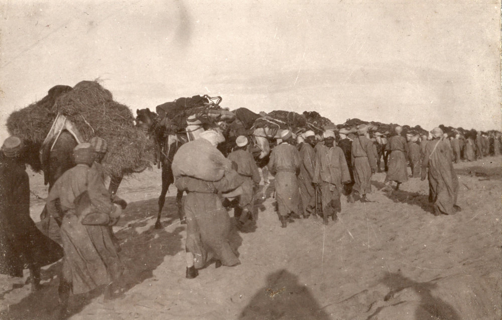 Photo from page 16 of album WWI Photograph Albums- Egypt and Palestine.