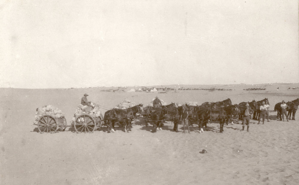 Photo from page 16 of album WWI Photograph Albums- Egypt and Palestine.