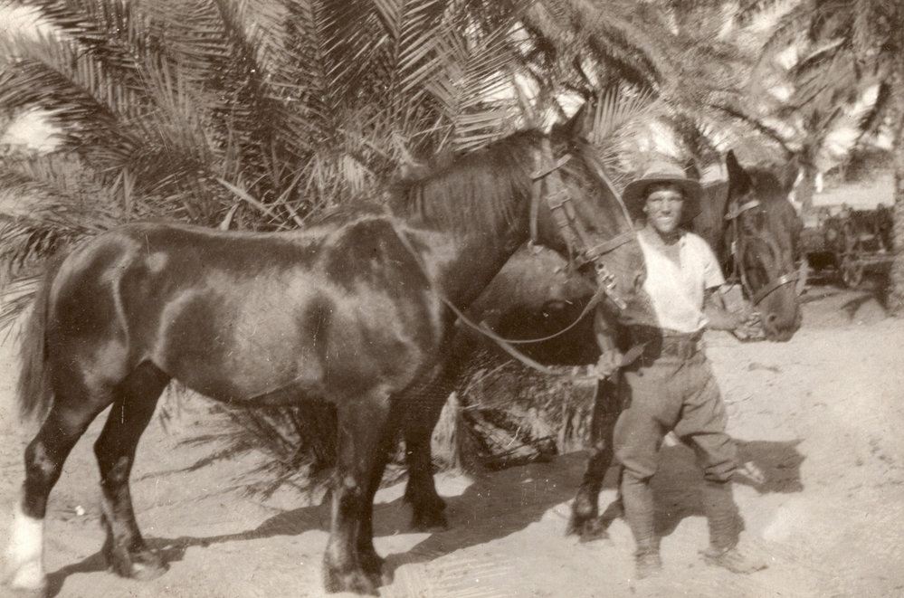 Photo from page 18 of album WWI Photograph Albums- Egypt and Palestine.
