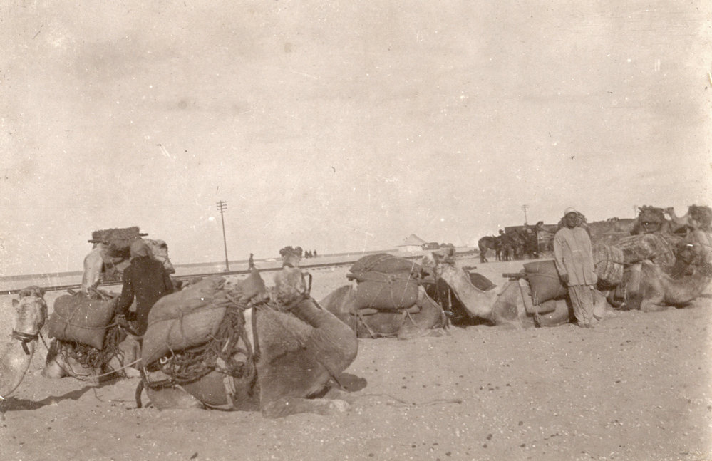 Photo from page 19 of album WWI Photograph Albums- Egypt and Palestine.