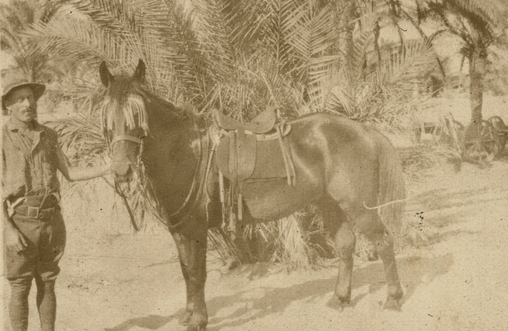 Photo from page 20 of album WWI Photograph Albums- Egypt and Palestine.